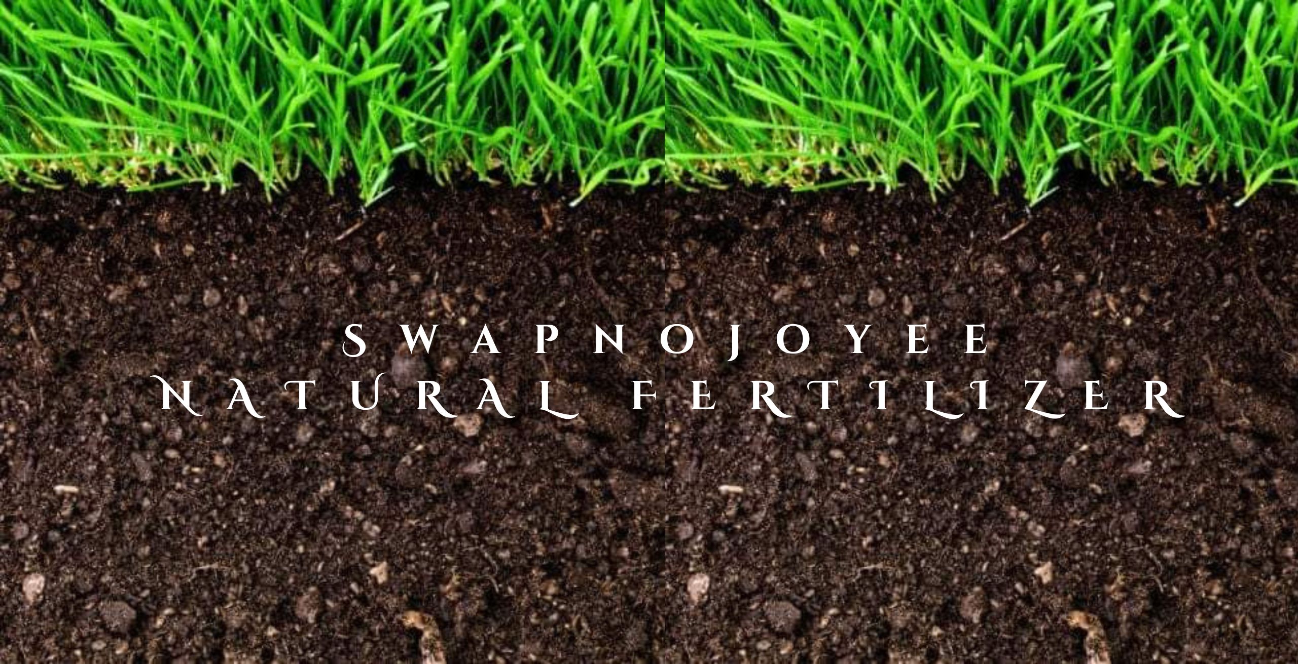 Natural Fertilizer for Gardening – Organic Vermicompost and Tricho Compost